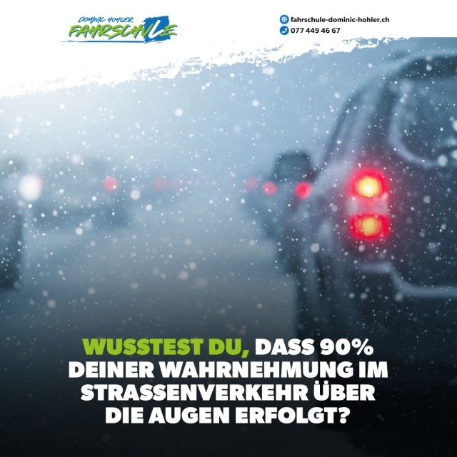 Wusstest Du, dass Deine Augen f�r den Strassenverkehr trainiert werden k�nnen - Verkehrssehen: Dein Schl�ssel zur sicheren Fahrt!